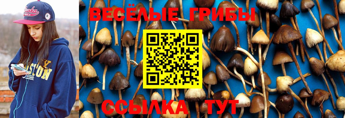Канабис Костомукша
