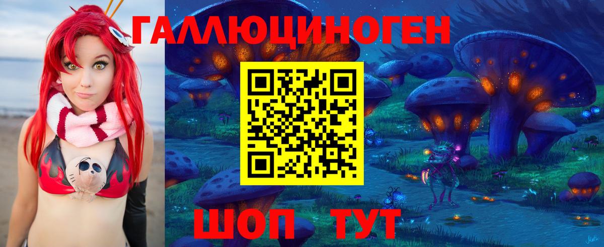 Псилоцибиновые грибы прущие грибы  Вход с VPN  Костомукша 